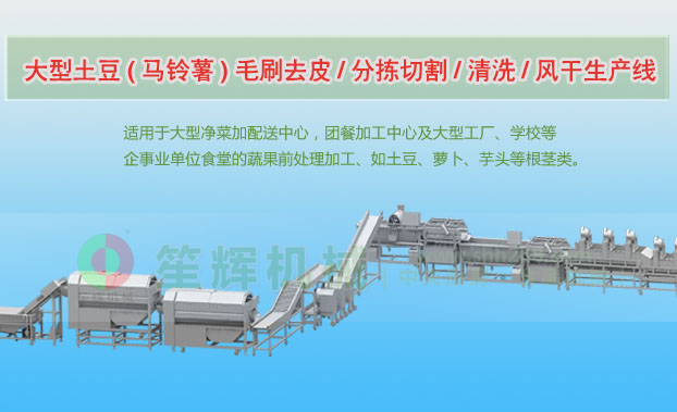 华亭连续式土豆去皮清洗切割风干生产线